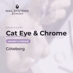 Advanced course Cat Eye and chrome in Gothenburg - Nail Systems of Sweden