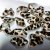 Skapa en unik och djärv look med Leopard Print Nail Charms! 20-pack med olikformade leopardmönstrade stenar för nail art. Fästes